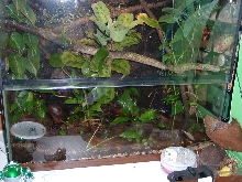 vivarium