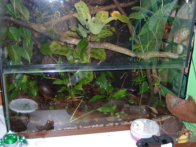 vivarium