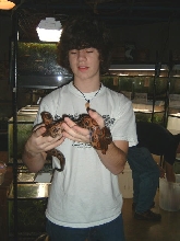 rainbow boa