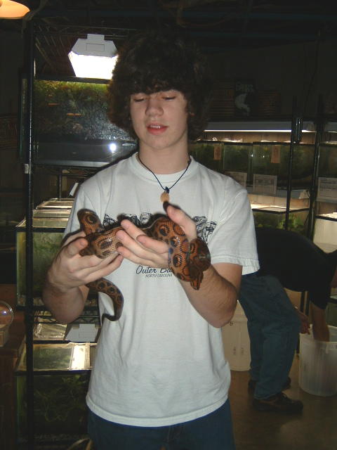 rainbow boa