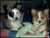Libby & Maddie