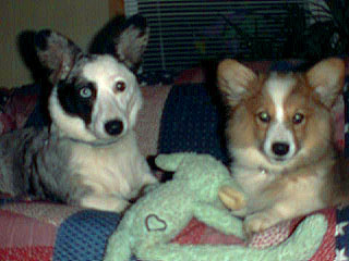 Libby & Maddie