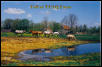 Fall at TEAQ Farm