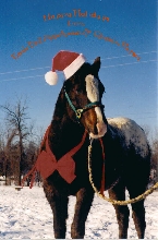 Happy Holidays