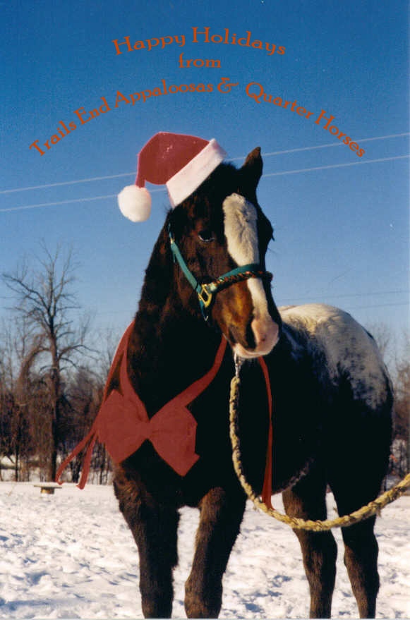 Happy Holidays