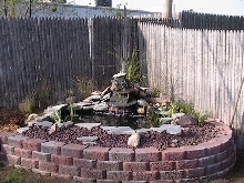 my pond