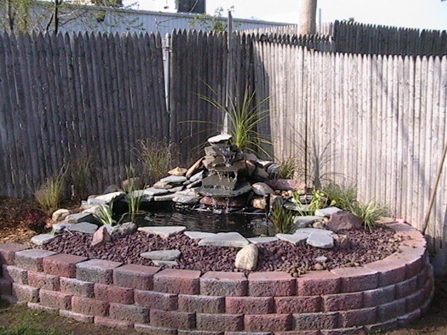 my pond