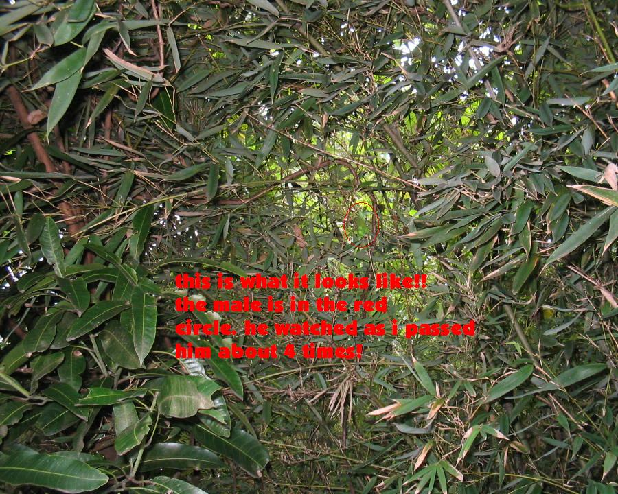 hawaii habitat