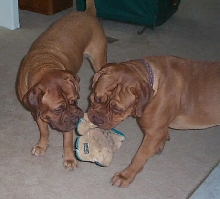 Purl & Quest