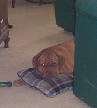 I am NOT spoiled!
