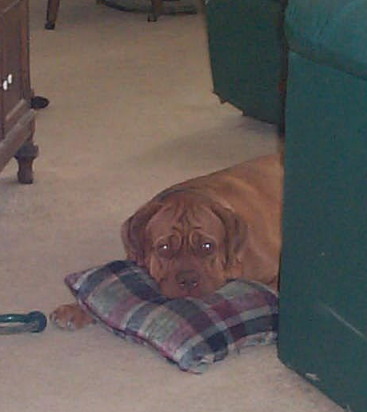 I am NOT spoiled!