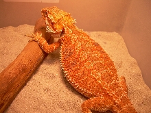 G&M Red!