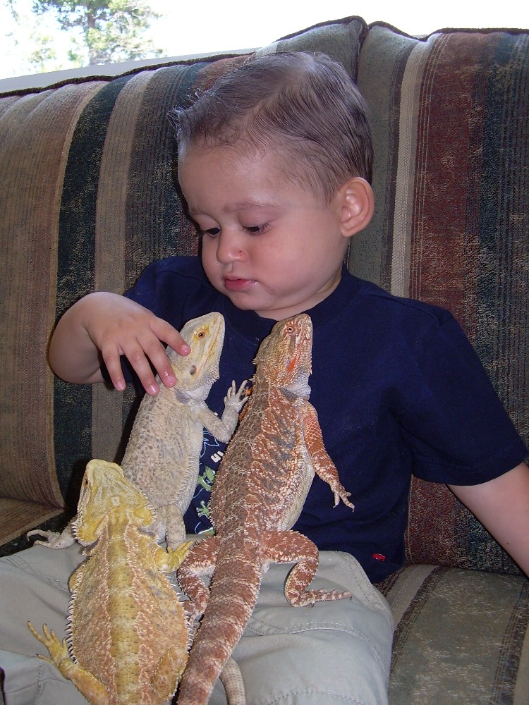 Like Father, Like Son..