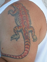 Dragons Forever!