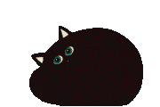 Sleeping Cat
