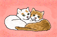 Two cats
