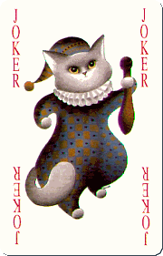 Joker Cat