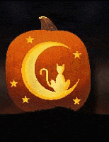 Pumpkin-Cat