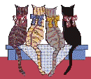 4 Cats