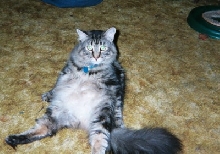 Charlee Theodore on his rump