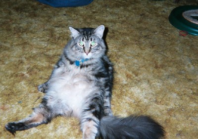 Charlee Theodore on his rump