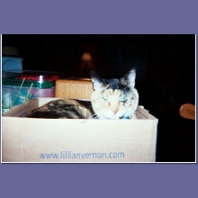 Tabitha