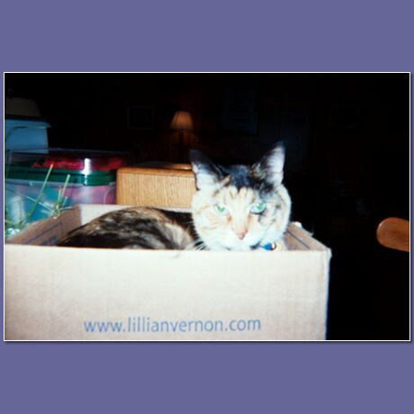 Tabitha