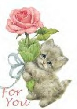 Kitty with Flower