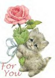 Kitty with Flower