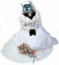 Foudini the Bride