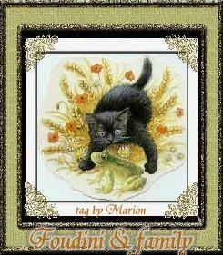 Foudini and Family Tag