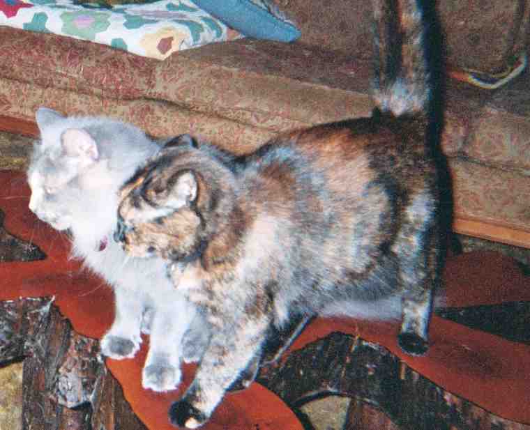 Lizzie and Minnie