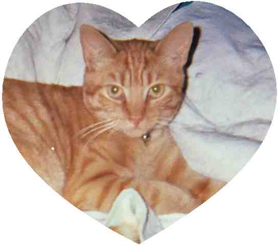 Marmalade