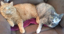 Lilly and Hank