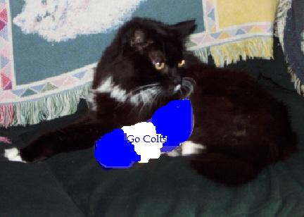 Stumpy for Colts