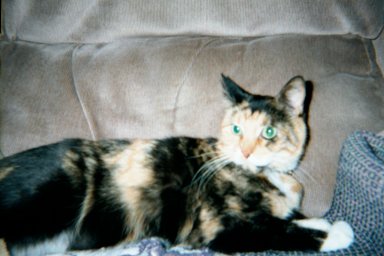 Tabitha Lynn Noblehunter