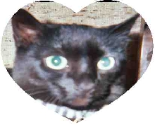 Foudini for Valentines Day
