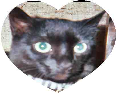 Foudini for Valentines Day