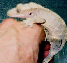 My 40g female 2004 breeder