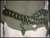 Diamond x Jungle breeder.