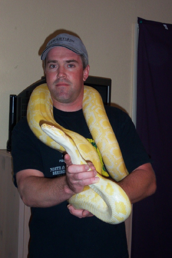 Albino burm het labyrinth
