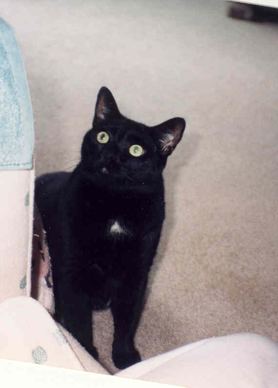 Dexter Edward Franklin