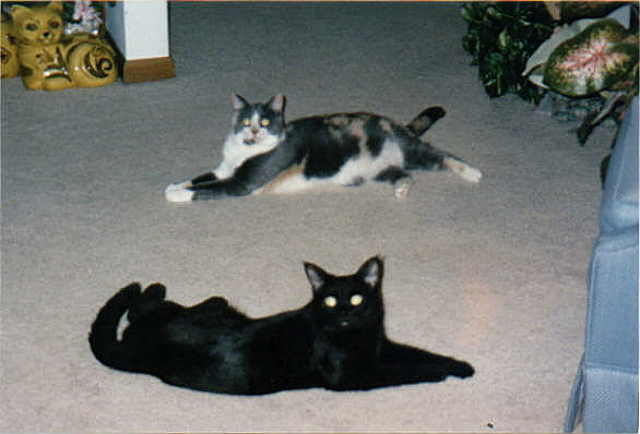 Diana and Conner