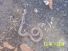 What is this??