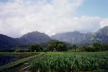 Mt. Namolokama