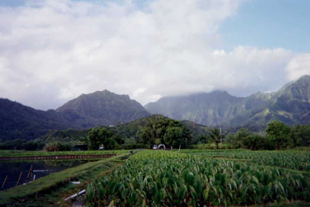 Mt. Namolokama