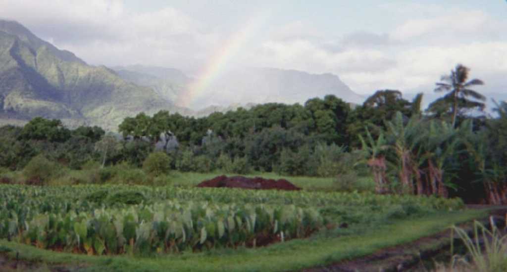 Hanalei Rainbow