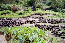 Limahuli Gardens