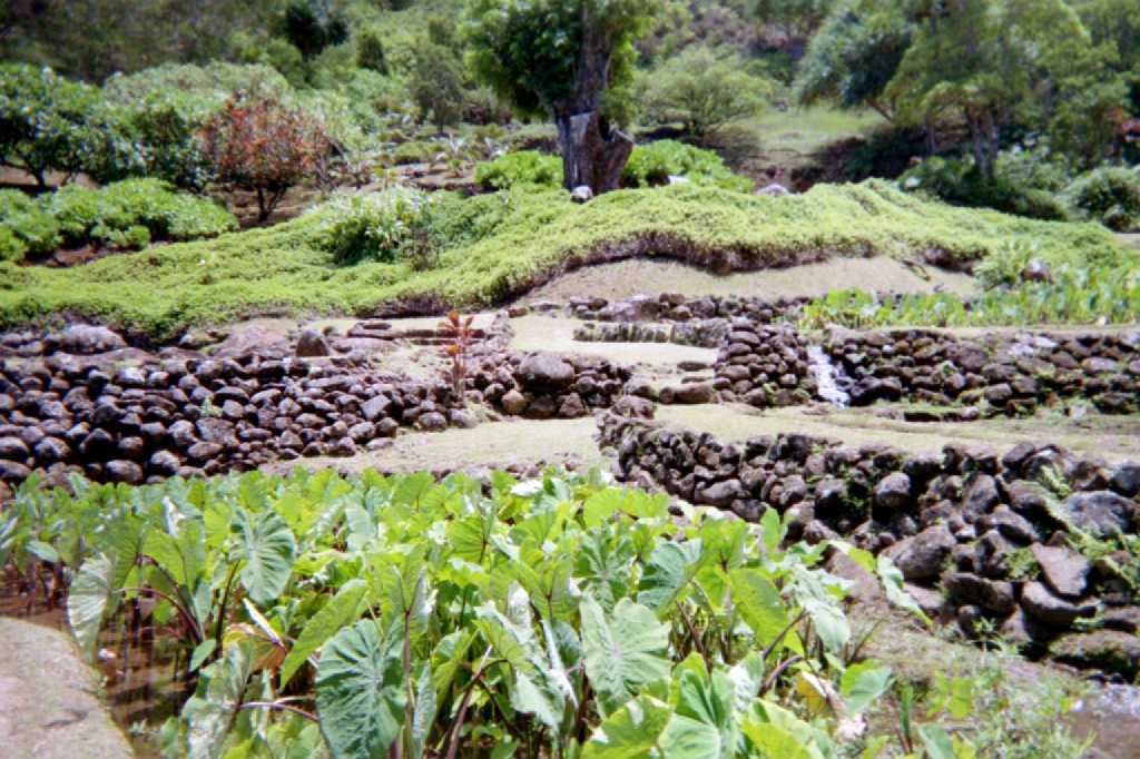 Limahuli Gardens