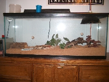 trogdors home